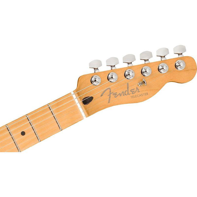 エレキギター Fender Player Plus Telecaster?, Maple Fingerboard, Aged Candy A