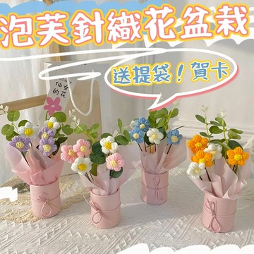 肥婆奶奶 仙女的花 編織花束 畢業花束 母親節花束 教師節 生日 針織花束 編織花盆栽 針織花盆栽 編織花盆 針織花盆