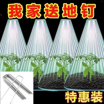 臺灣出貨⚡批髮重複使用加厚育苗保護罩植物蔬菜免受霜凍保溫罩幼苗防凍保暖 W97M