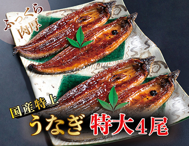 国産！特上うなぎのかば焼き 約250g × 4尾（ 2尾×2パック）