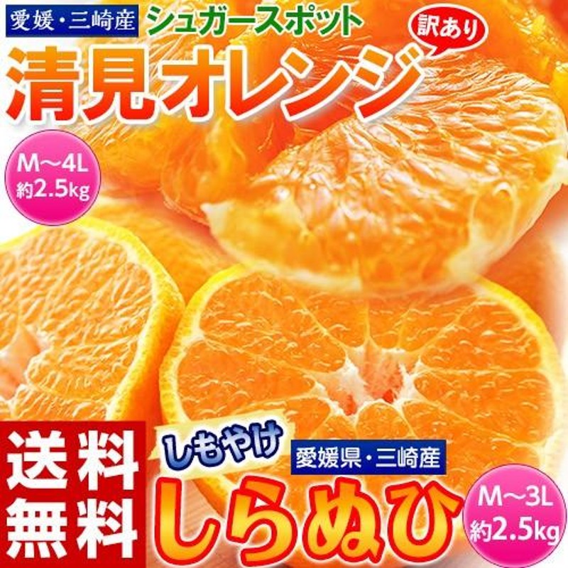 愛媛県三崎産　柑橘　送料無料　ミカン　みかん　訳あり品　セット　約2.5kg　しらぬひ約2.5kg　清見　と　LINEショッピング