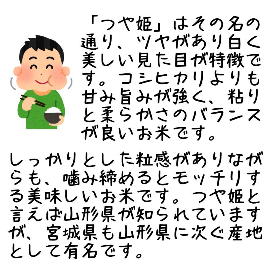 つや姫 宮城県産 10kg 令和5年産 白米 5kg×2袋