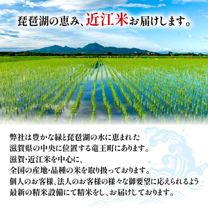 令和5年産 こしひかり みずかがみ ミルキークイーン 3品種 食べ比べ10kg 全3回 近江米 みずかがみ 新米 みずかがみ 米粉 200g付