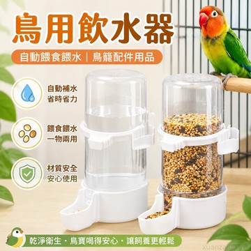 鳥用飲水器自動餵食器餵水喝水器虎皮鸚鵡食盒餵鳥食鳥籠配件用品 小太陽鸚鵡 和尚鸚鵡 凱克鸚鵡餵食餵水玩具 鸚鵡鳥籠