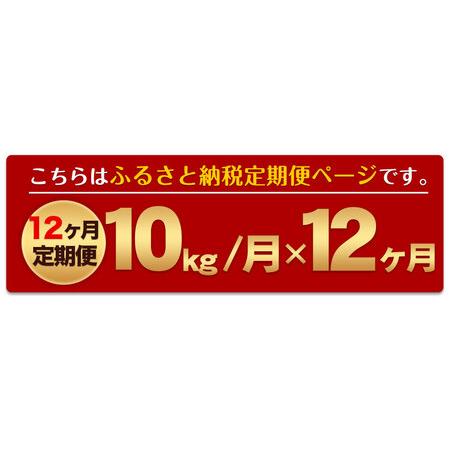 ふるさと納税 新米 令和5年産 ひのひかり  白米 《お申込み月の翌月から出荷開始》 10kg (5kg×2袋) 計12回お届け 熊本県産.. 熊本県御船町