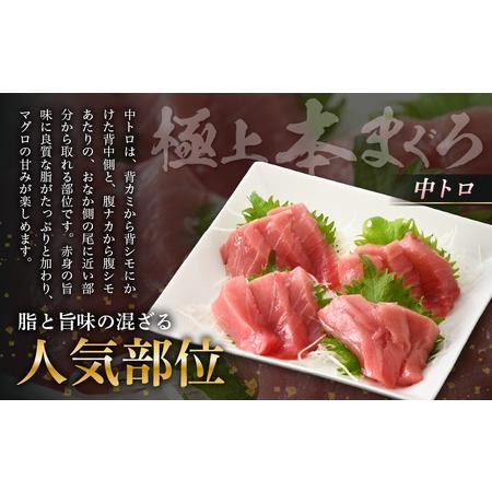 ふるさと納税 お刺身 セット 甘海老 250g × 2P ＆ 本まぐろ 中トロ 100g × 1P .. 福井県越前町