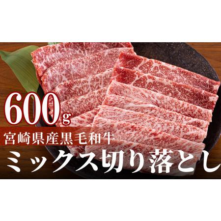 ふるさと納税 宮崎県産 黒毛和牛 切り落とし 600g (300g×2) 小分け 黒毛和牛 モモ カタ バラ ミックス 冷凍 送料無料 国産 牛 肉 黒毛和牛 .. 宮崎県美郷町