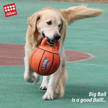 香港GiGwi貴為狗狗玩具球健寶球 中大型犬耐咬訓練邊牧金毛彈力球