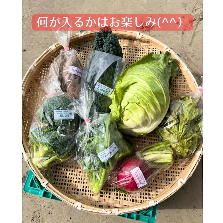 限定30個 とれたて冬野菜セット　７種類以上　80サイズ　滋賀県産 農家直送 送料無料