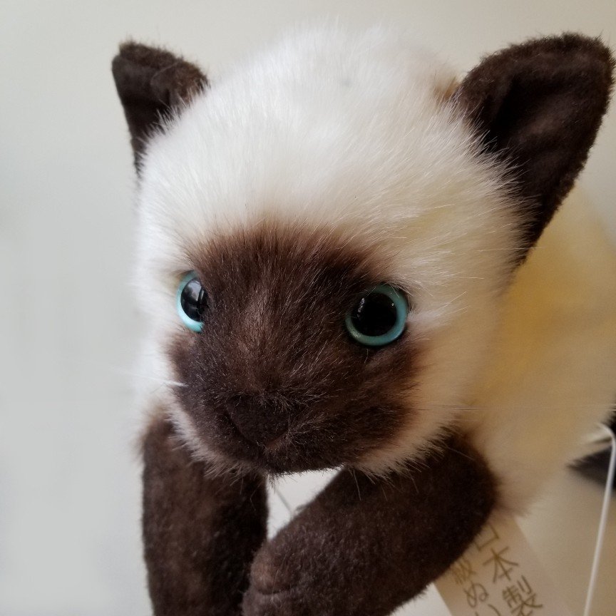 シャムネコll 日本製 童心のぬいぐるみ 通販 Lineポイント最大0 5 Get Lineショッピング