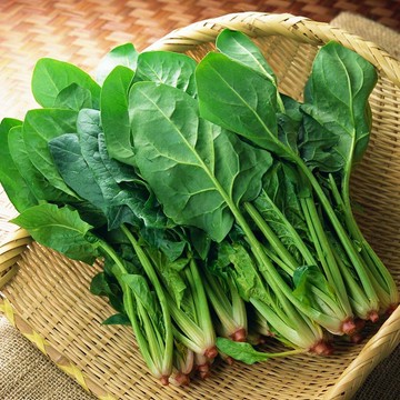 熟凍菠菜 切段 1000g/包 | 已清洗 煮熟後再食用【海產教父】
