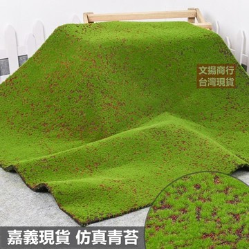 嘉義現貨 仿真青苔 仿真苔藓 假苔藓 假青苔 仿真植物墙 绿色微景观盆景 造景装饰材料 草坪人工草皮 仿真造景 假山草皮