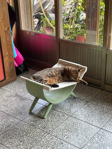 水果盤吊床 貓窩 狗窩 寵物床 羊毛毯 吊床 寵物最安全的家具