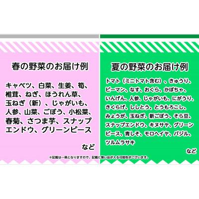 ふるさと納税 井原市 旬の農産物(野菜・果物など)詰合せ