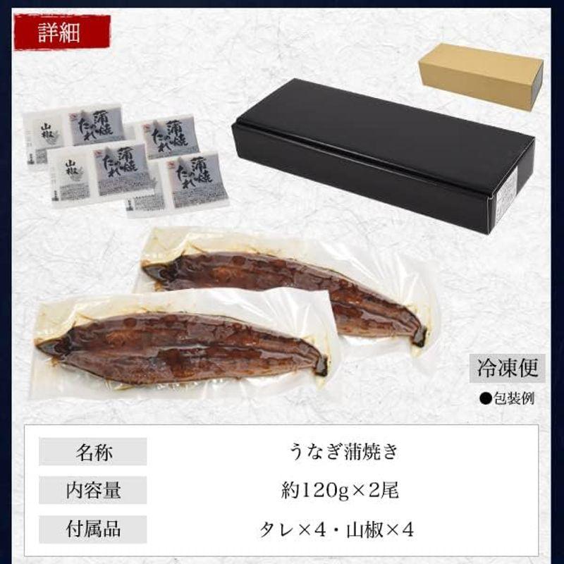 鰻 蒲焼き 国産 うなぎ ギフト 鰻の蒲焼き 鹿児島県 愛知県 宮崎県 約120g × 2尾 うなぎの蒲焼き お取り寄せグルメ 父の日 お中