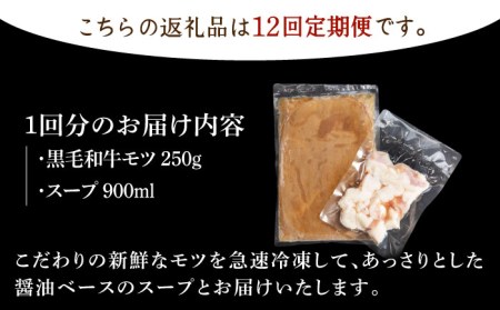 佐賀県産黒毛和牛 もつ鍋セット 2～3人前黒毛和牛 牛肉 モツ 鍋 定期便 [HAD142]