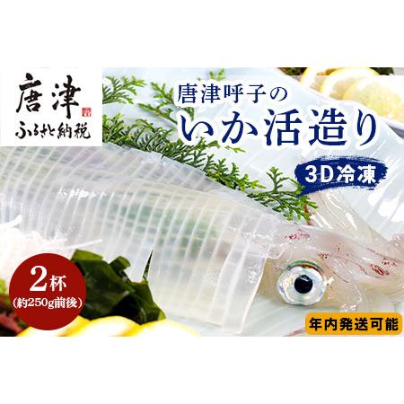 ふるさと納税 唐津呼子産いか活造り 2杯(約250g×2) 急速冷凍 新鮮そのまま食卓へ！イカ 刺身 簡単 ギフト 佐賀県唐津市