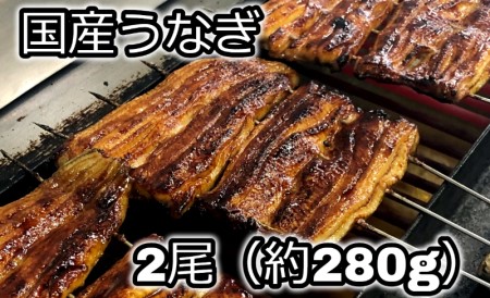 国産うなぎ　職人手焼き蒲焼2尾（約260g） [5839-1508]