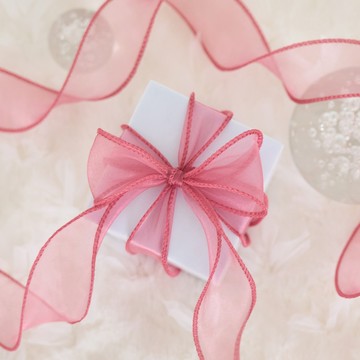 gilgri 網紗歐根紗花束禮物包裝緞帶  珊瑚色  1捲  9m