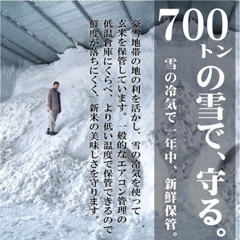 精米新潟県産 白米 雪蔵氷温熟成 こしひかり2kg