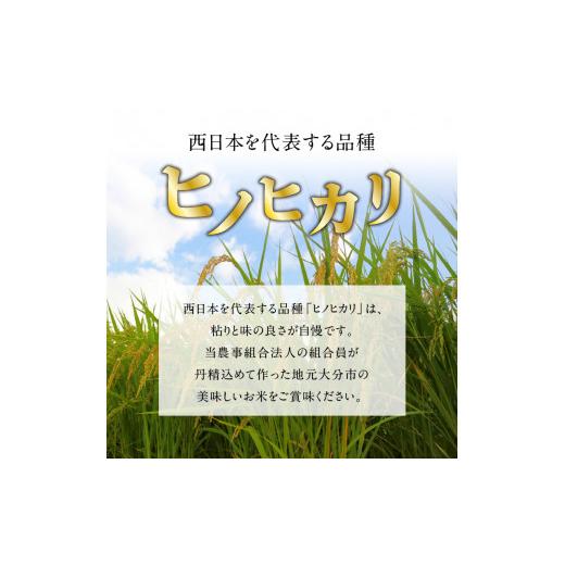 ふるさと納税 大分県 大分市 丹生米の里 丹川のお米 ヒノヒカリ白米 5kg×12回お届け定期便