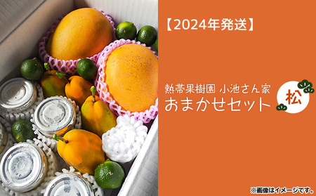 熱帯果樹園小池さん家　お任せセット（松）