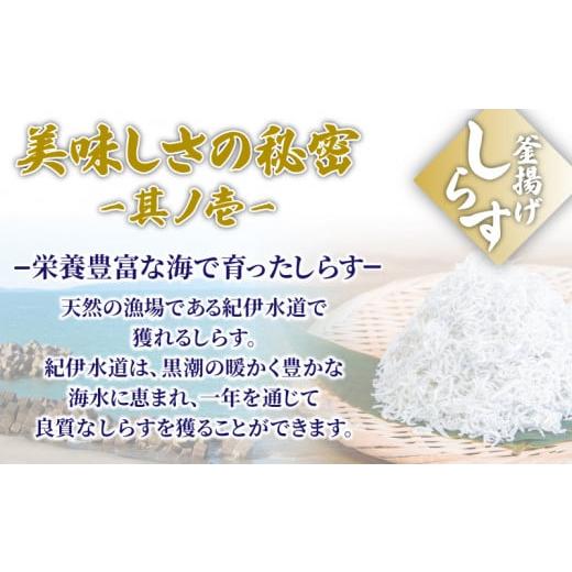 ふるさと納税 徳島県 小松島市 釜揚げ しらす 800g 国産 徳島県産 和田島産 とれたて 新鮮 産地直送 冷蔵 発送 小分け 200g 4袋 セット 和田島しらす ちりめん…