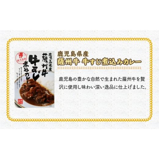 ふるさと納税 福岡県 飯塚市 九州のカレーセット(レトルトカレー5食入り)