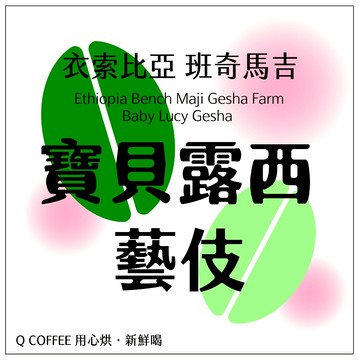【七月限定】衣索比亞 班奇馬吉 寶貝露西 藝伎 藝妓 gesha 瑰夏 精品豆 黑咖啡 手沖 美式 咖啡豆  【Q咖啡】