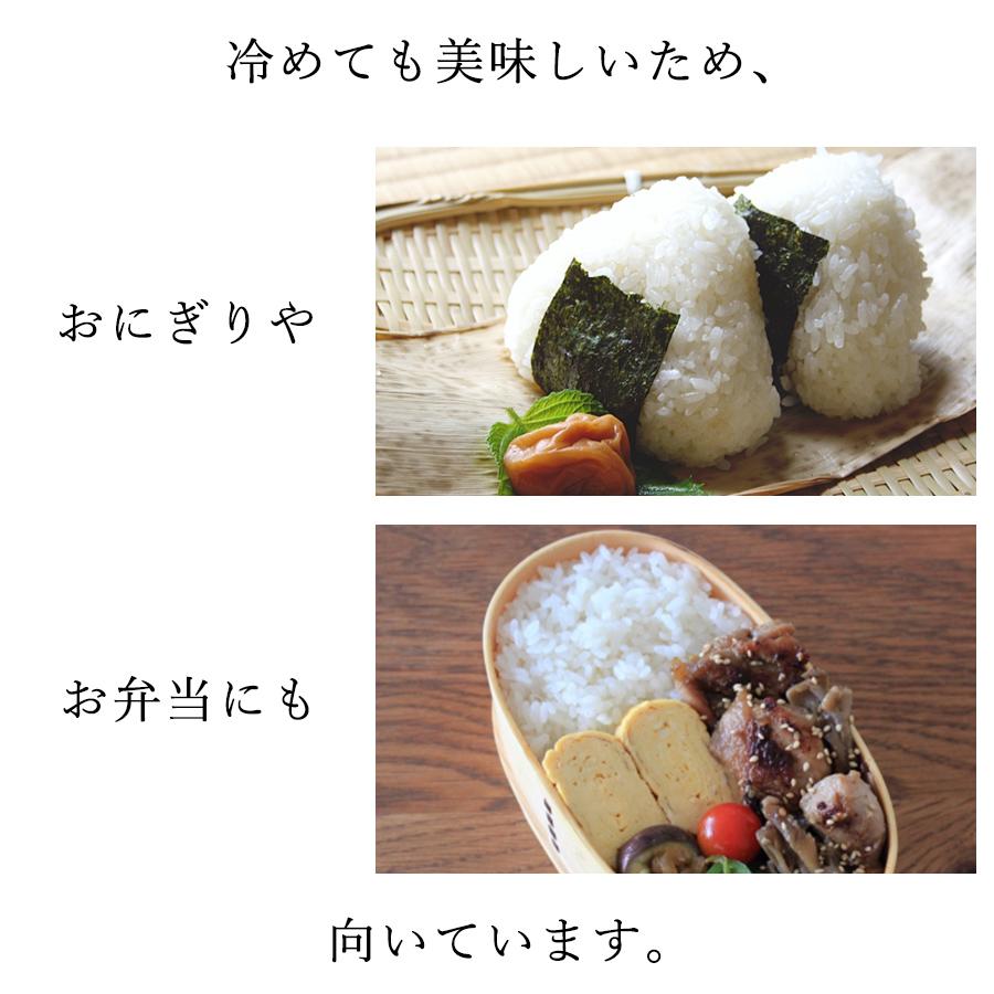 新米 米 お米 5kg 令和5年産 仁多米 コシヒカリ 奥出雲町 仁多郡 島根県産 こしひかり 出雲國 にたまい 神話 和牛完熟堆肥  棚田