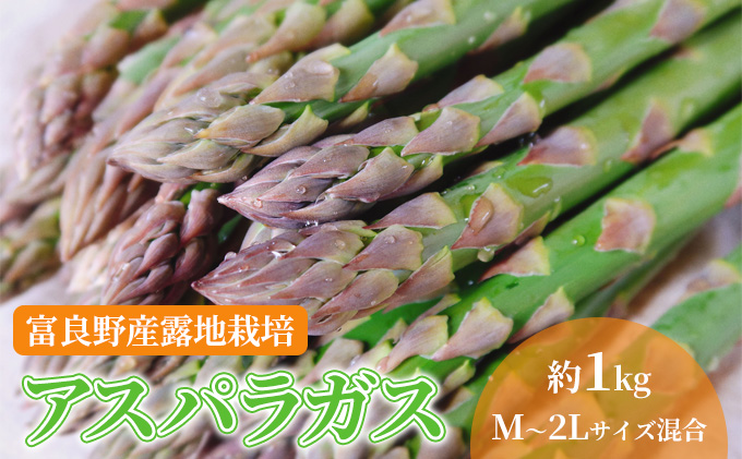 北海道 富良野産 アスパラガス M～2Lサイズ混合 約1kg 露地栽培 (山本農園)