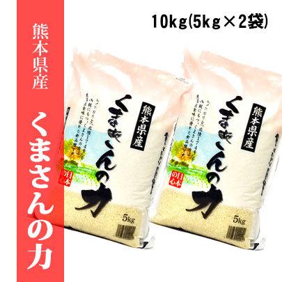 令和４年産米　熊本県産くまさんの力　白米10kg(5kg×2袋)