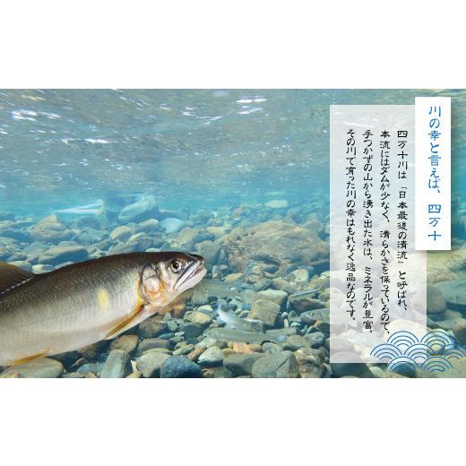 ふるさと納税 高知県 四万十市 23-480．天然食材！四万十川の天然川エビ 約500g