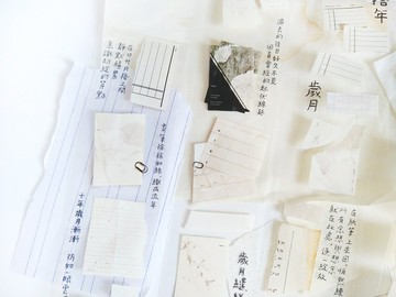 拾掇 亮面PET膠帶 5M