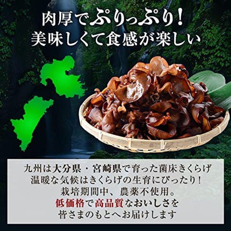 森のきのこ倶楽部 乾燥 きくらげ 300g 国産   マルチ食材   水で簡単に戻る 木耳 肉厚   家庭用   業務用 ギ