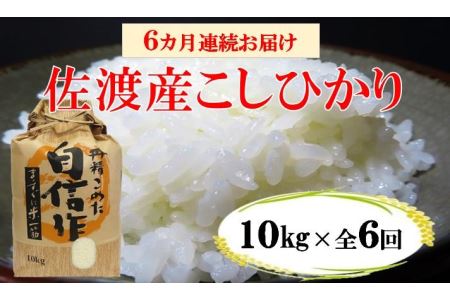 佐渡産高千産こしひかり 10kg