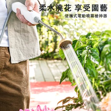 噴槍  便攜式電動噴霧槍  園藝小型打藥噴槍 農藥霧化水槍【3米吸水管】（霧化細膩 直流強勁）