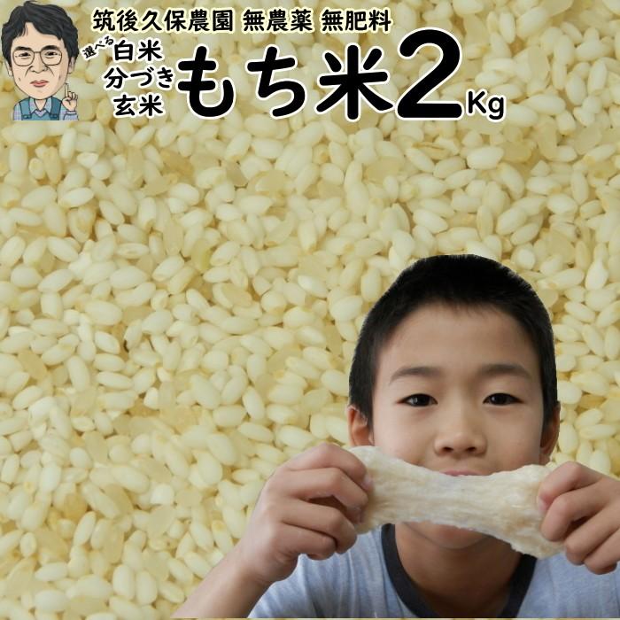 無農薬 無肥料 栽培米 もち米 2Kg レターパックセット 福岡県産 ひよくもち 筑後久保農園 自然栽培米