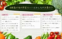 淡路島の旬の野菜セット　３ヶ月コース（月１回×３回）