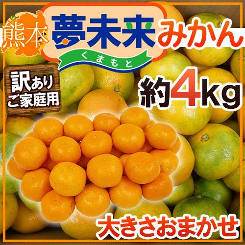 みかん 熊本産 ”夢未来みかん” 訳あり 約4kg 大きさおまかせ 送料無料