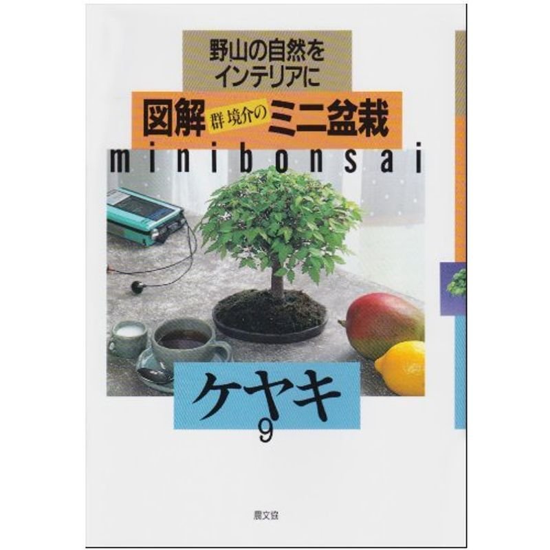 ケヤキ (図解 群境介のミニ盆栽?野山の自然をインテリアに)