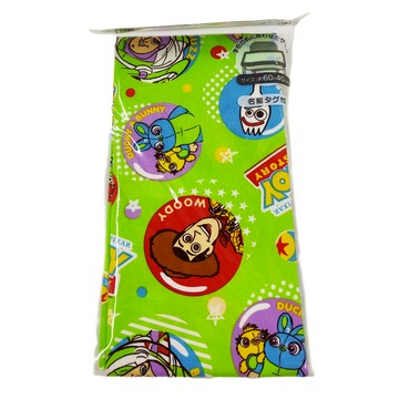 Skater 玩具總動員野餐墊  玩具總動員  60 x 40cm