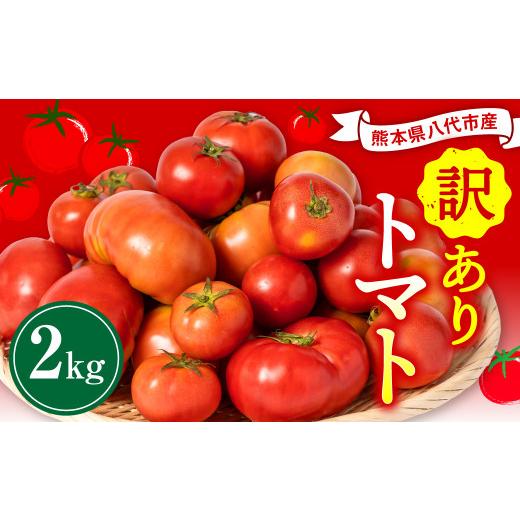 ふるさと納税 熊本県 八代市    八代市産 規格外トマト 2kg 熊本県 トマト 野菜