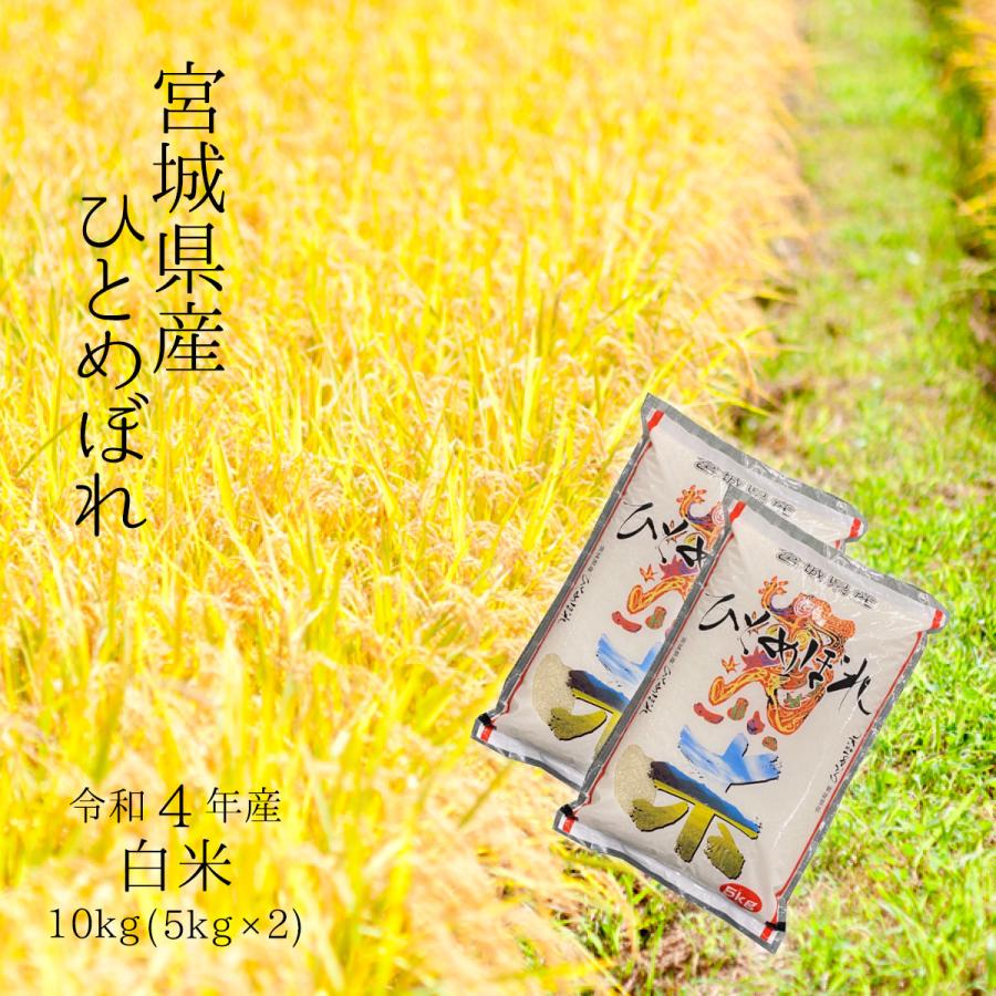 令和5年宮城県産 ひとめぼれ 白米10kg（5kg×2）