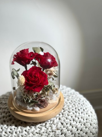 經典紅玫瑰永生花玻璃罩 情人花禮