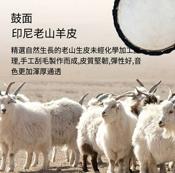 爆殺同行！免運 羊皮鼓 非洲手鼓 正品專業級高端非洲手鼓老山羊皮小學生標準加厚廠家羊皮鼓兒童 八折下殺 特價出 快速出貨