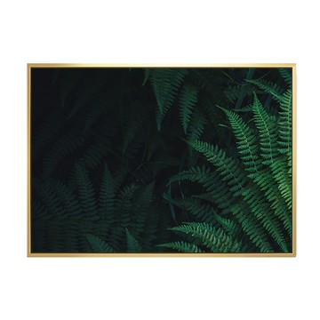 仲夏的交響曲I 蕨類植物壁畫  70 x 50cm  金色