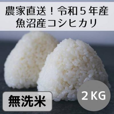 ふるさと納税 十日町市 新潟県魚沼産コシヒカリ「山清水米」無洗米2kg