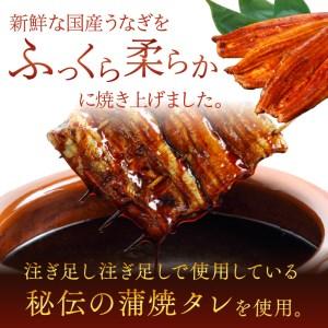 ふるさと納税 AD-89　やわらか新仔うなぎ蒲焼120〜140ｇ　3尾×3回　計1080ｇ以上 茨城県行方市