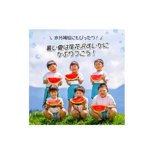 ふるさと納税 山形県 尾花沢市 先行予約 尾花沢すいか 3Lサイズ 約8kg×2玉 7月下旬〜8月10日頃発送 スイカ 2024年産 令和6年産 JA ja-su3xx2